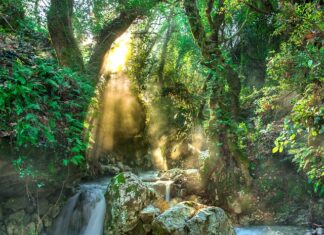 Kiedy jest pora deszczowa w Azji?