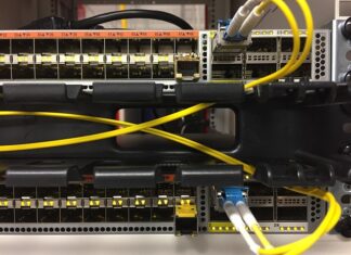 Co można robić po technikum turystycznym?