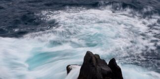 Czy ceny iPhone spadną w 2023?