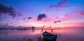 Na czym można zarobić w wakacje?