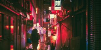 Jaki język programowania dla początkujących?