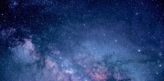 Kto płaci za badania wstępne umowa zlecenie?