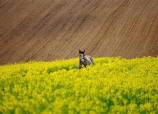 Jak przetrwać bez pieniędzy?