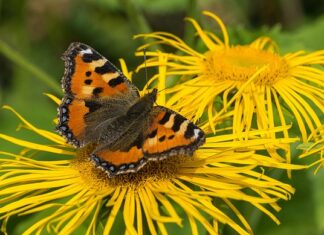 Gdzie teraz polecieć?