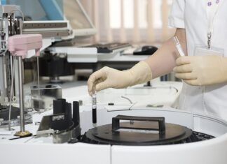 Ile kosztuje pracownik zarabiający 5000 netto?