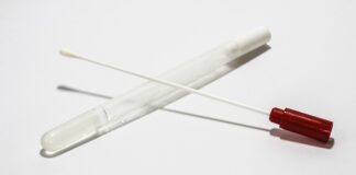 Jak pobrać CV z InterviewMe za darmo?