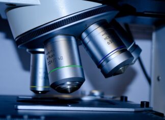 Jakie studia podyplomowe po turystyce i rekreacji?