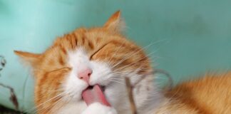 Ile trzeba zarabiać żeby godnie żyć?