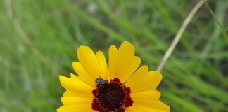 Jak unieważnić dług?