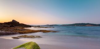 Ile za godzinę pracy w polu?