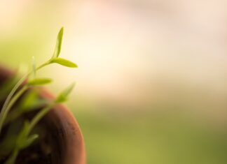 Czy da się szybciej spłacić raty?