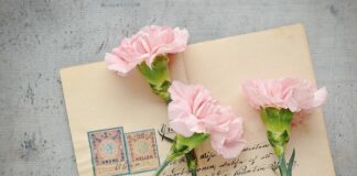 Co napisać na kopercie z CV?