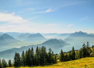 Czy można nie wpuścić komornika do domu?