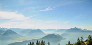 Jakich kont bankowych nie widzi komornik?