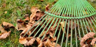 Czy PayPo pobiera prowizję?