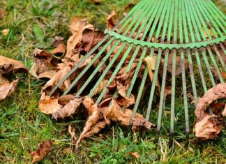 Czy PayPo pobiera prowizję?