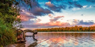 Co to znaczy zapłać za 30 dni?