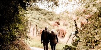 Jak będzie naliczana emerytura po nowemu?