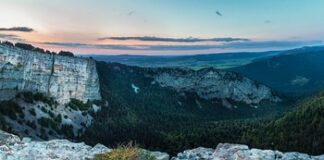 Za co można zostać wyrzuconym z pracy?