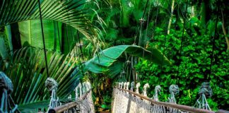 Ile kosztuje kurs na przedszkolankę?