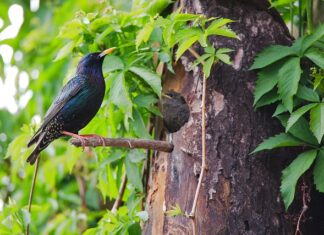 Jaki kraj jest najsilniejszy na świecie?