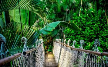 Czy wystarczy kurs pedagogiczny?