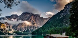 Czy bank może zabrać dom?