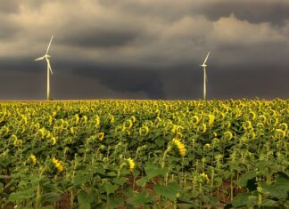 W jakiej kolejności Praca w CV?